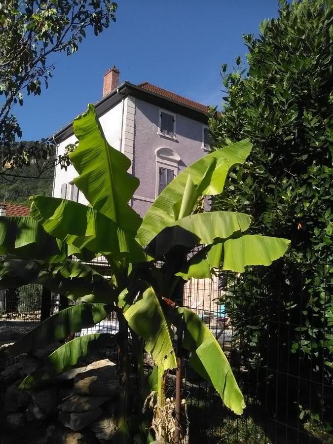 A Deux Pas Du Rheby Hotel Villebois Luaran gambar
